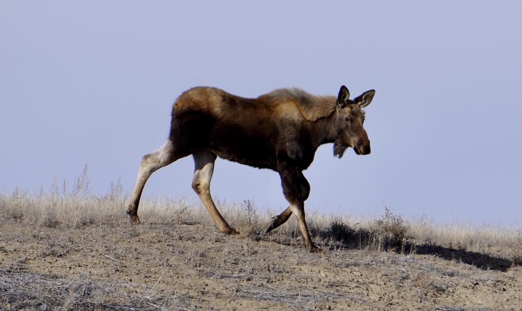 image from Construction Safety Communications: When Every Missed Call Is a Liability